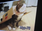 První beseda klubu v Maryčce, 8. 1. 2019 (27)