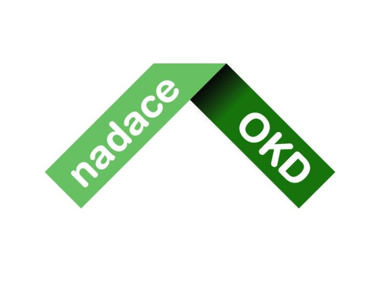 V srdcovkové výzvě uspělo 47 z 57 žadatelů o minigrant