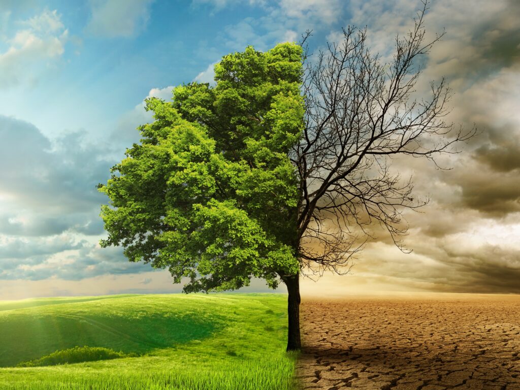 COP 27 ukázal, že změnu klimatu nezastavíme
